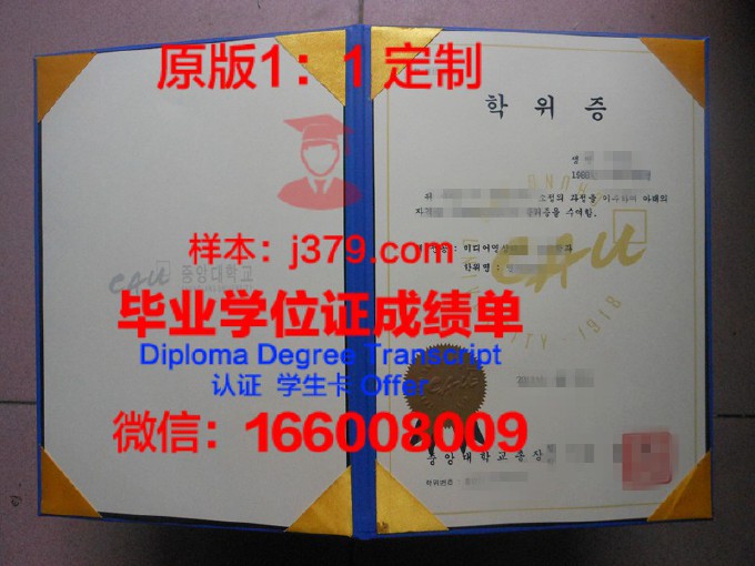 韩国中央大学毕业证模板图片(韩国中央大学毕业证样本)
