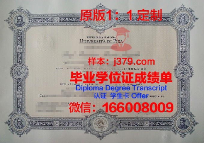 比萨大学毕业证图片样本(比萨大学毕业证图片样本高清)