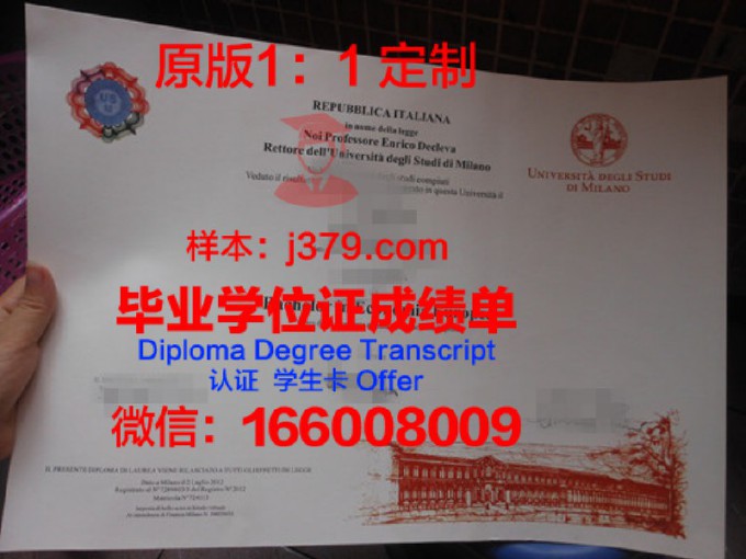 意大利本科毕业证中国承认吗现在(意大利本科一般几年制)